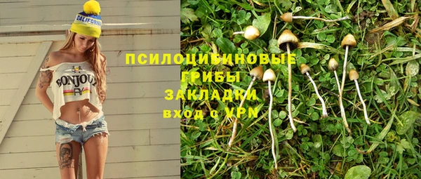 ECSTASY Абаза