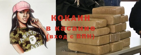 индика Абинск