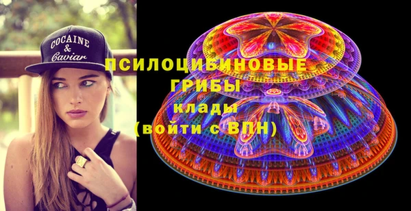 ПСИЛОЦИБИНОВЫЕ ГРИБЫ Абдулино