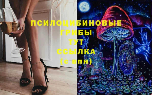 индика Абинск